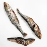 Sardinas