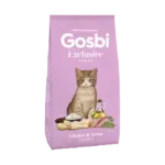 Exclusive Cat Pollo Pavo Kitten