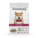 Amanova Adult Obesity Turkey Delight & Quinoa