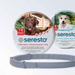 Seresto para perros