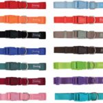 Collar nylon basic