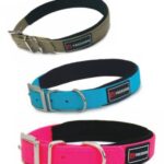 Collar ergo pvc