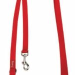 Correa adiestr. nylon — 2m