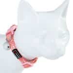 Collar gato reflect — 10x19-30