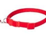 Collar gato cascabel — 10mm