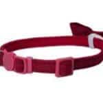 Collar gato cascabel pajarita — 10mm