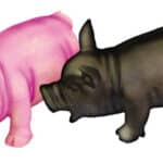 Cerdito — Rosa / Negro