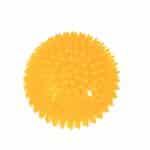 Pelota noody