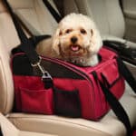 Transportín car bag — 44x29x34
