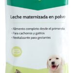 Milk Can — Leche maternizada
